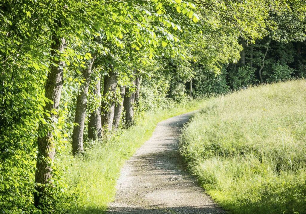 Spring-Walk-Path-FB Spring-Walk-Path-FB